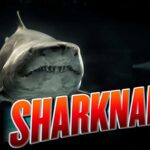 How many Sharknado movies are there?