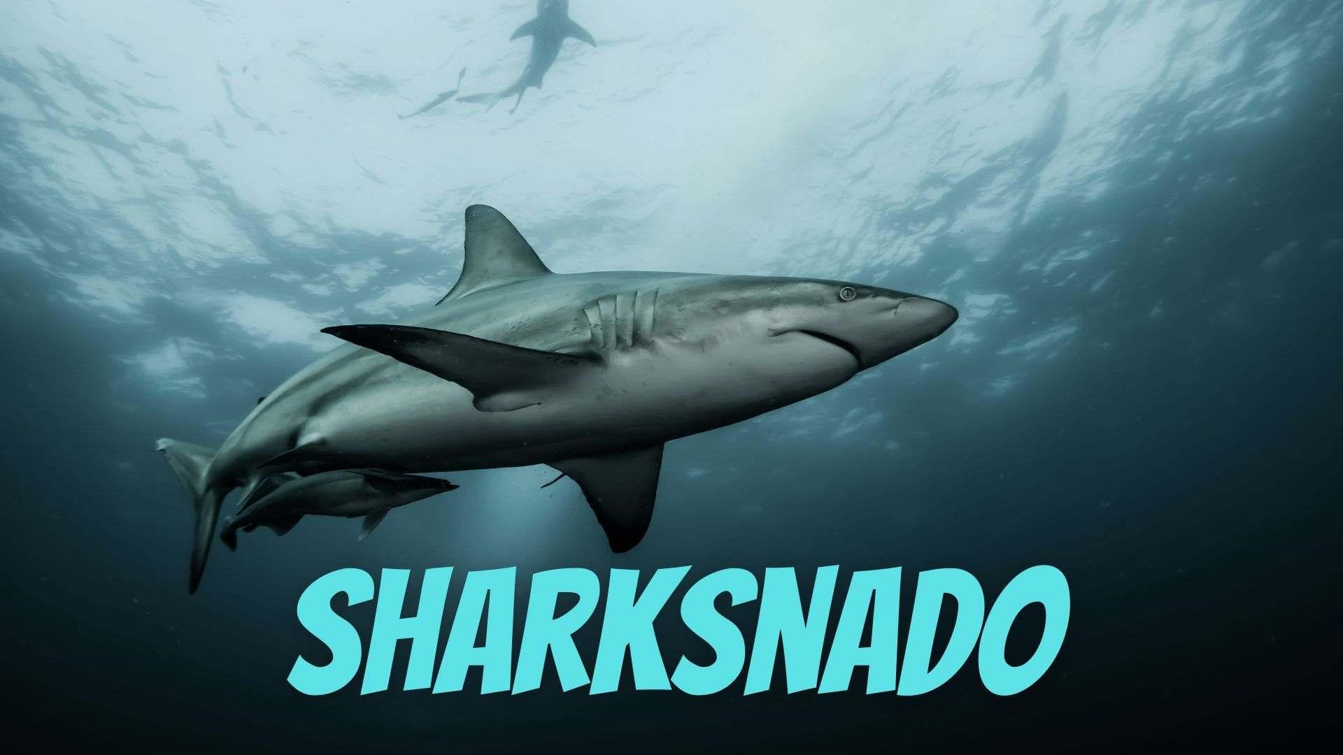 Sharksnado : Highest-grossing movies of the year