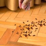 Does Salt Kill Fleas on Hardwood Floors